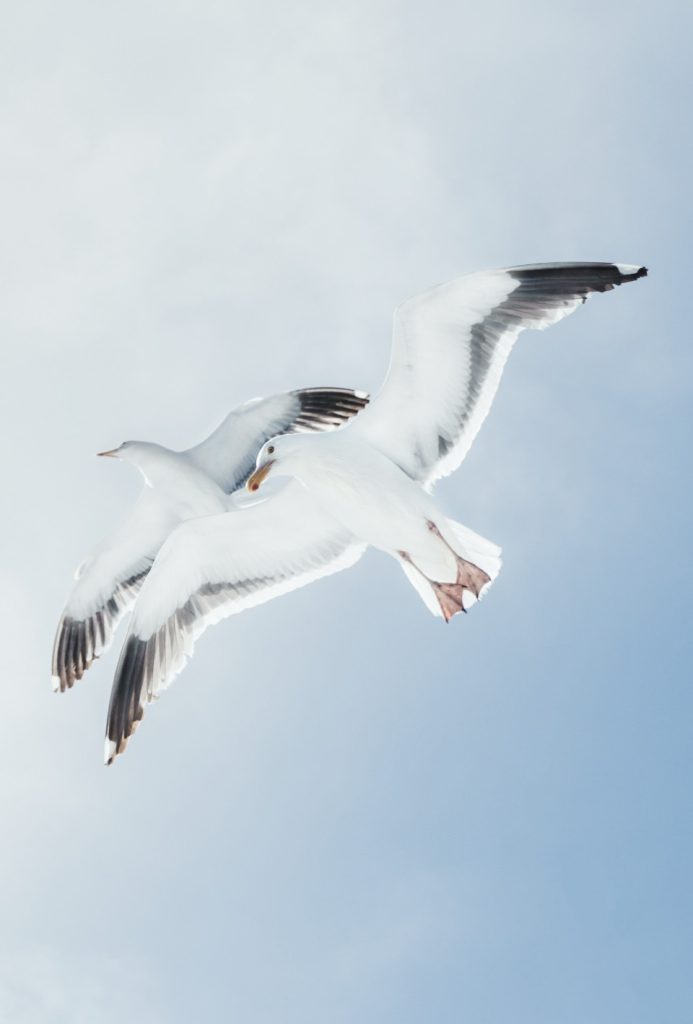 Gallery Air Together Img 1 693x1024